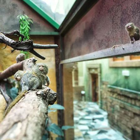 Hotel Wellness Babylon Liberec