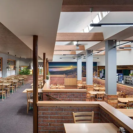 ウェルネス バビロン