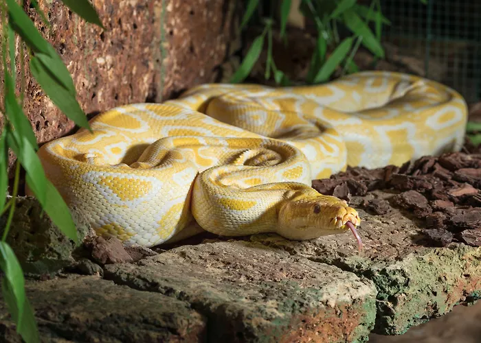 Wellness Babylon Liberec